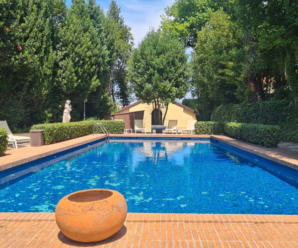 Our pool