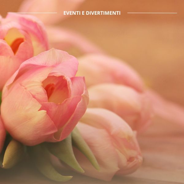 Sbocciano gli eventi di Primavera tra Gradara e dintorni